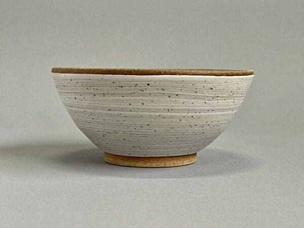 A bowl with white and brown speckles on it.